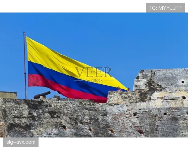 哥伦比亚队强势回暖，数据分析揭示其巨大潜力与光明前景