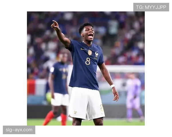 楚阿梅尼中场统治力