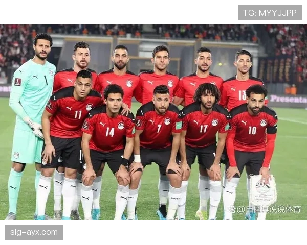 阿尔及利亚冲击2026世界杯：出线前景与晋级之路分析